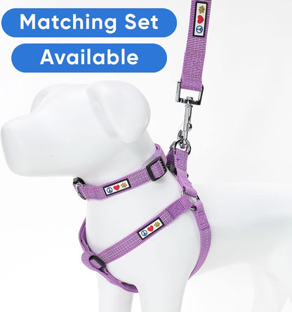 Elevate Your Dog's Walks with the Reflective Orchid 6 Ft Leash - Perfect for Small Dogs and Puppies