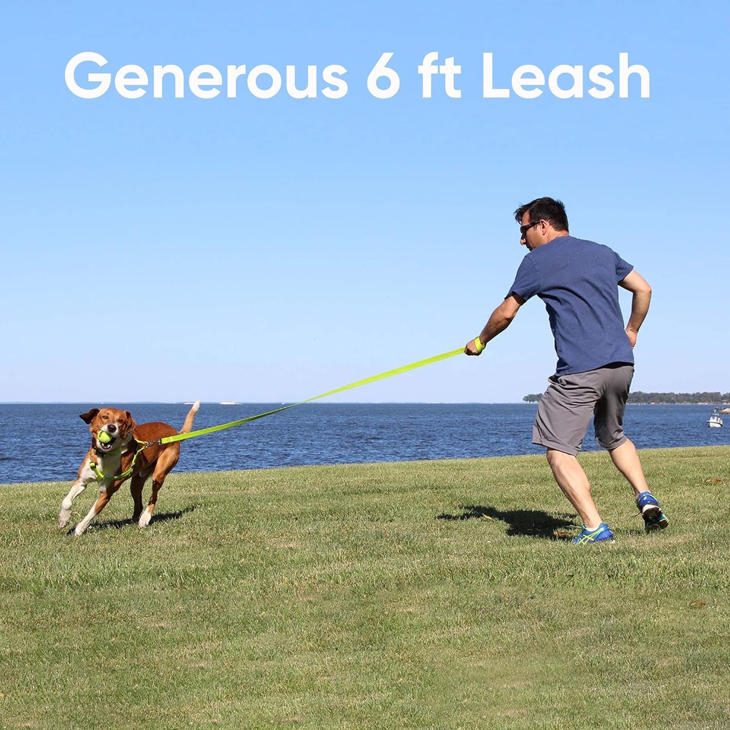 Elevate Your Dog's Walks with the Reflective Orchid 6 Ft Leash - Perfect for Small Dogs and Puppies