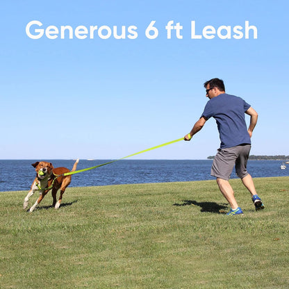 Elevate Your Dog's Walks with the Reflective Orchid 6 Ft Leash - Perfect for Small Dogs and Puppies