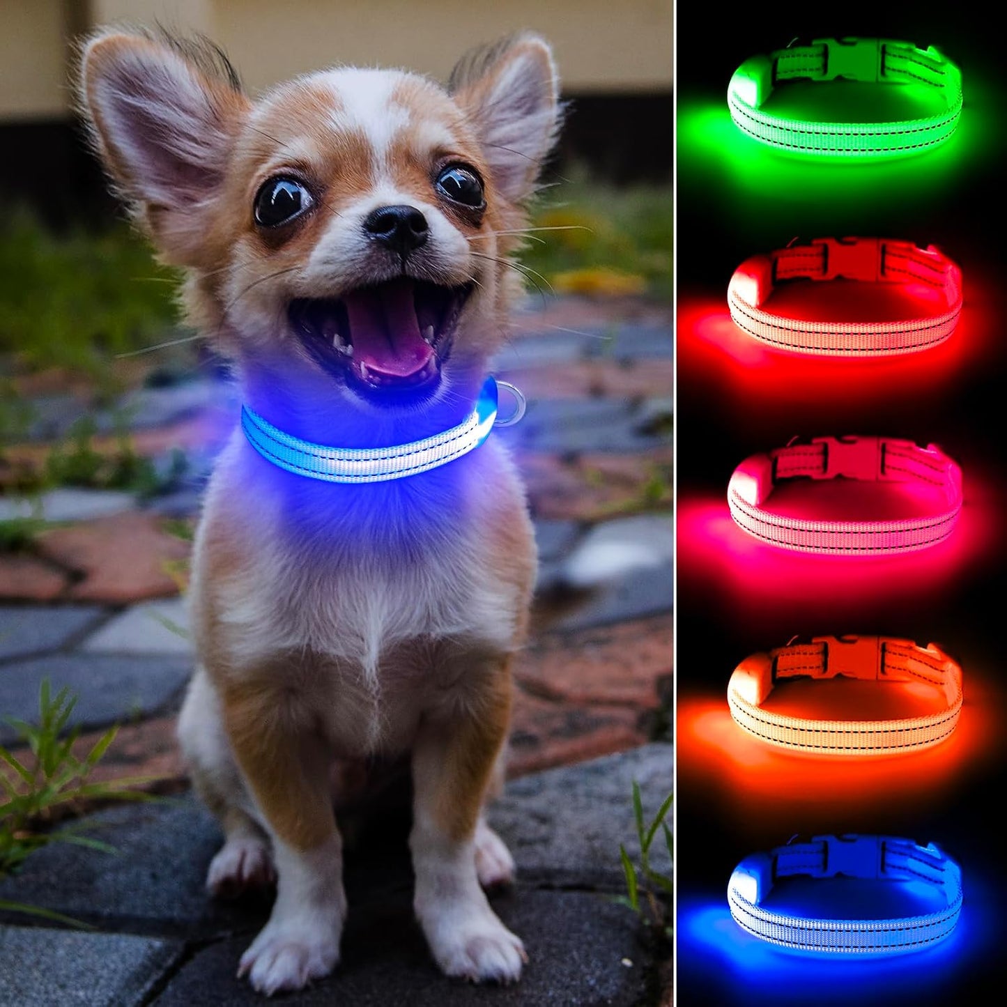 Ensure Your Pet's Safety with Our Rechargeable Reflective LED Dog Collar - Perfect for Small Dogs and Cats in Bright Royal Blue