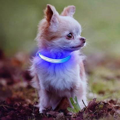 Ensure Your Pet's Safety with Our Rechargeable Reflective LED Dog Collar - Perfect for Small Dogs and Cats in Bright Royal Blue